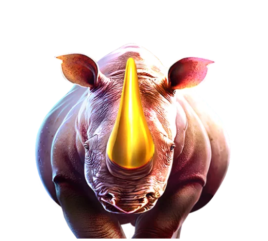 Sportweddenschappen Eerste Storting